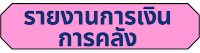 รายงานการเงิน การคลัง